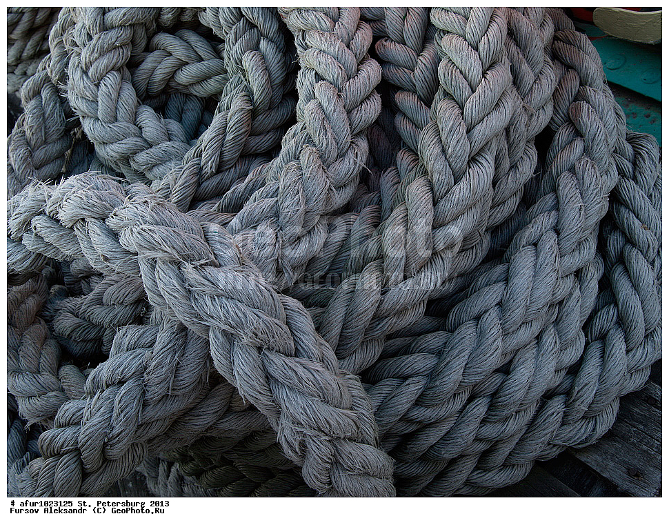 �����-���������