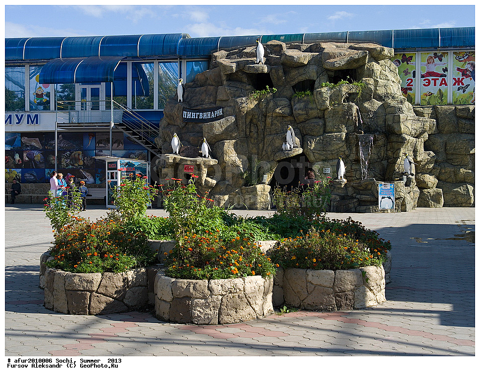 ����, ����, 2013 ,   �����������, ����, ������, ����, ��������, �����         