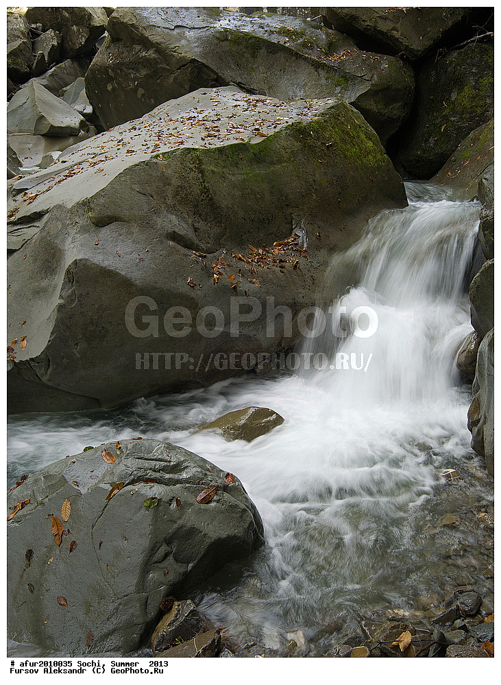 ����, ����, 2013 ,   ������, ����, ������ �����, �����             