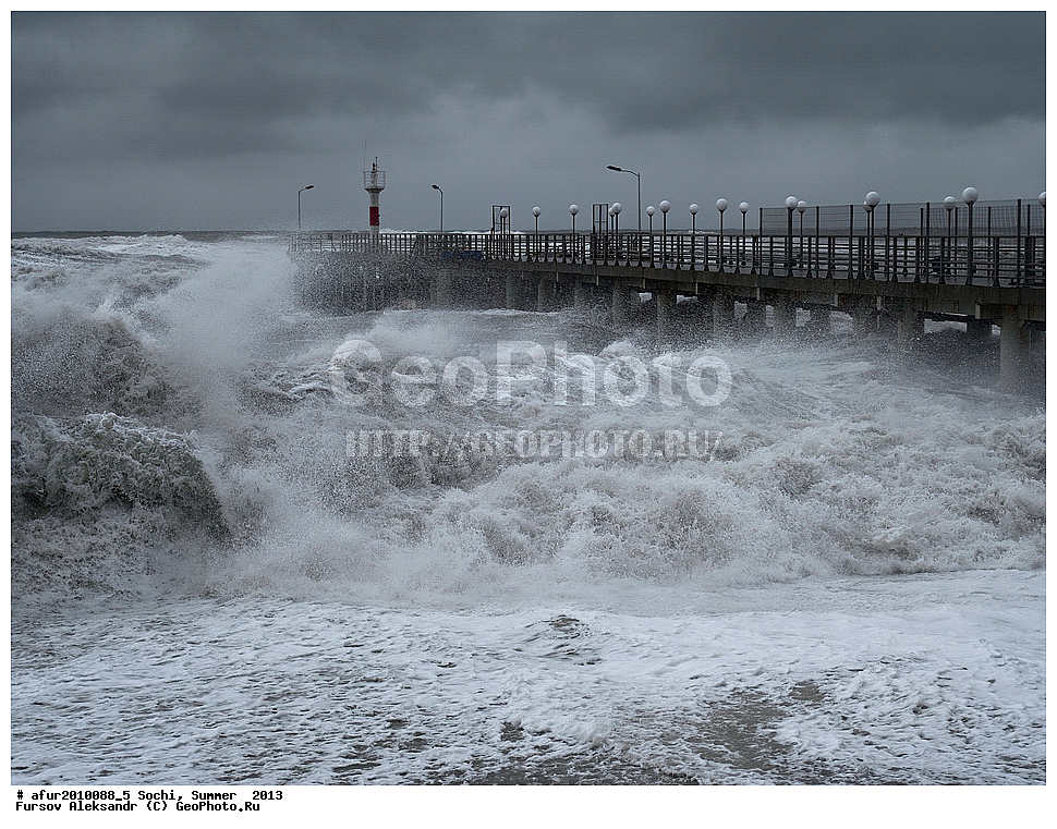 ����, ����, 2013 ,  ������, ������ ����, �����, ����, ����, �����          