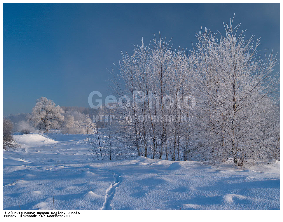 �����������, ���������� �������, ����, �����, ��������, ���������� �����, �����������