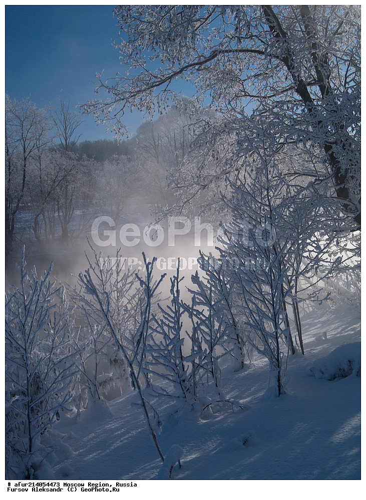 �����������, ���������� �������, ����, �����, ��������, ���������� �����, �����������