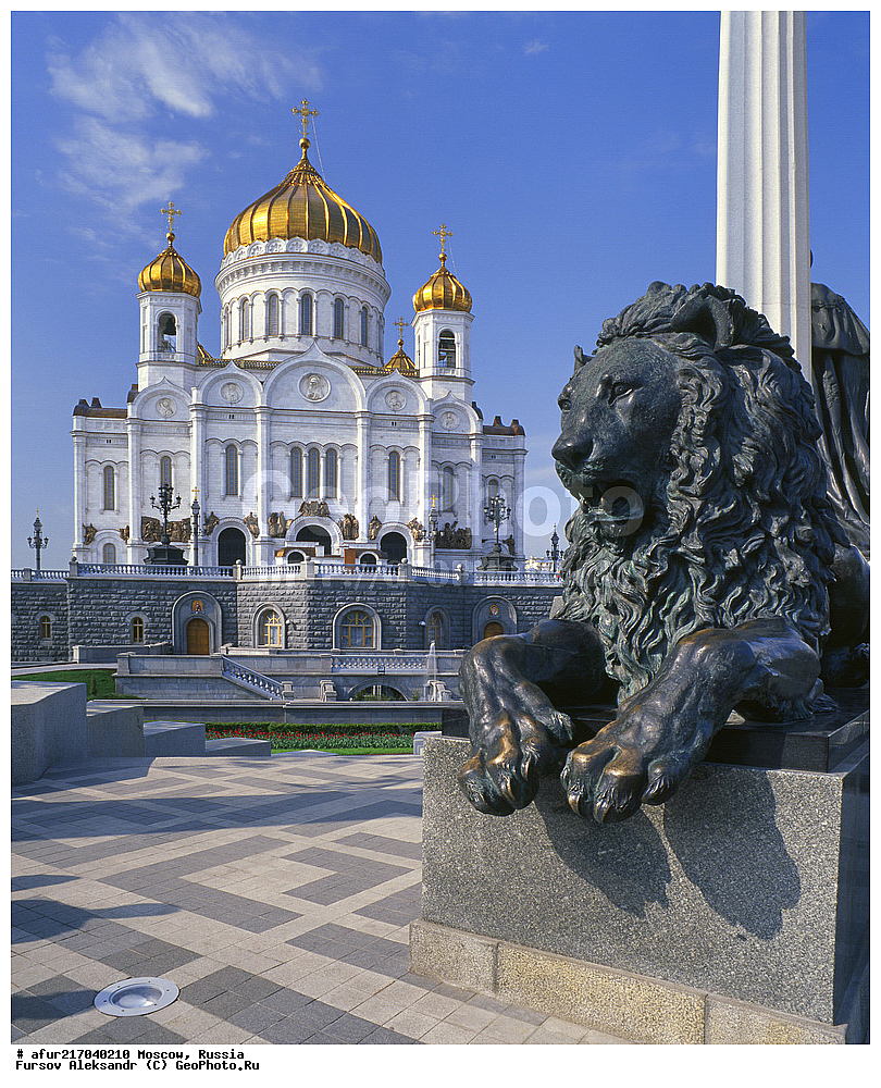 ������, �������� ���������� �������, ���� ������ ���������