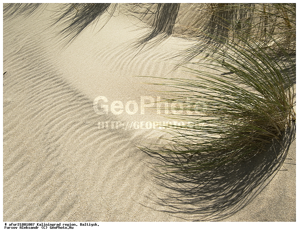 ���������� ����, ��������������� �������, �����, �����, �����, �����