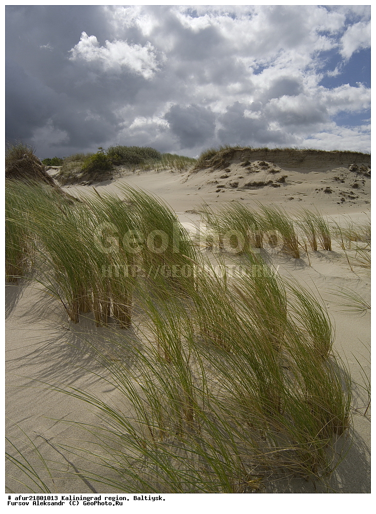 ���������� ����, ��������������� �������, �����, ����, �����, �����