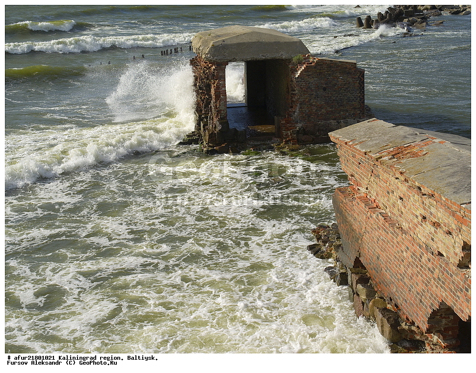 ��������, ��������������� �������, ������, �����, ����, ����, ������, ���� ��������, ���������������� ����������