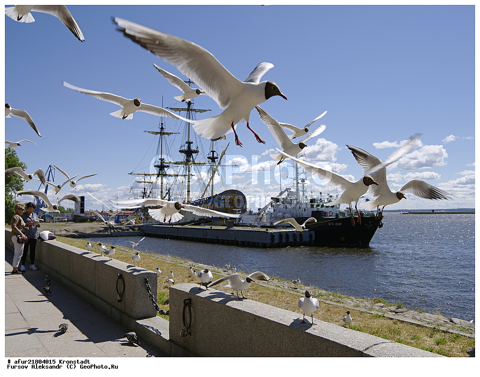 �������, ���������, ������, ����., �����