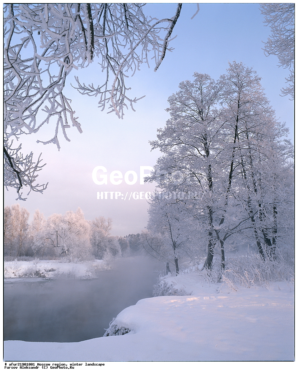 ���������� ���., ����, ����, ���� �������, �����