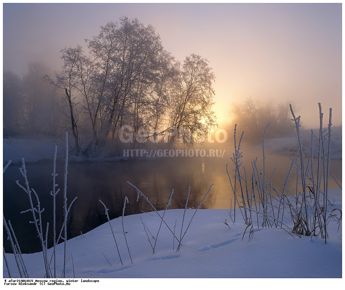 �����������, ������., ����, ���� �����