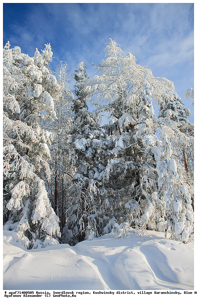 ������, ������������ �������, ���������� �����, ������ ������������, ���� �����, ����, ����, ���������, ����, ����� ����, ������� � �����, ����, ����, ���������, ����, ����� ����, ������� � �����