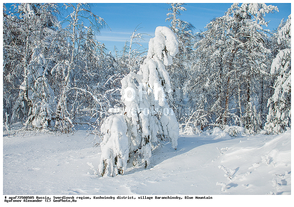 ������, ������������ �������, ���������� �����, ������ ������������, ���� �����, ����, ����, ���������, ����, ����� ����, ������� � �����, ����, ����, ���������, ����, ����� ����, ������� � �����