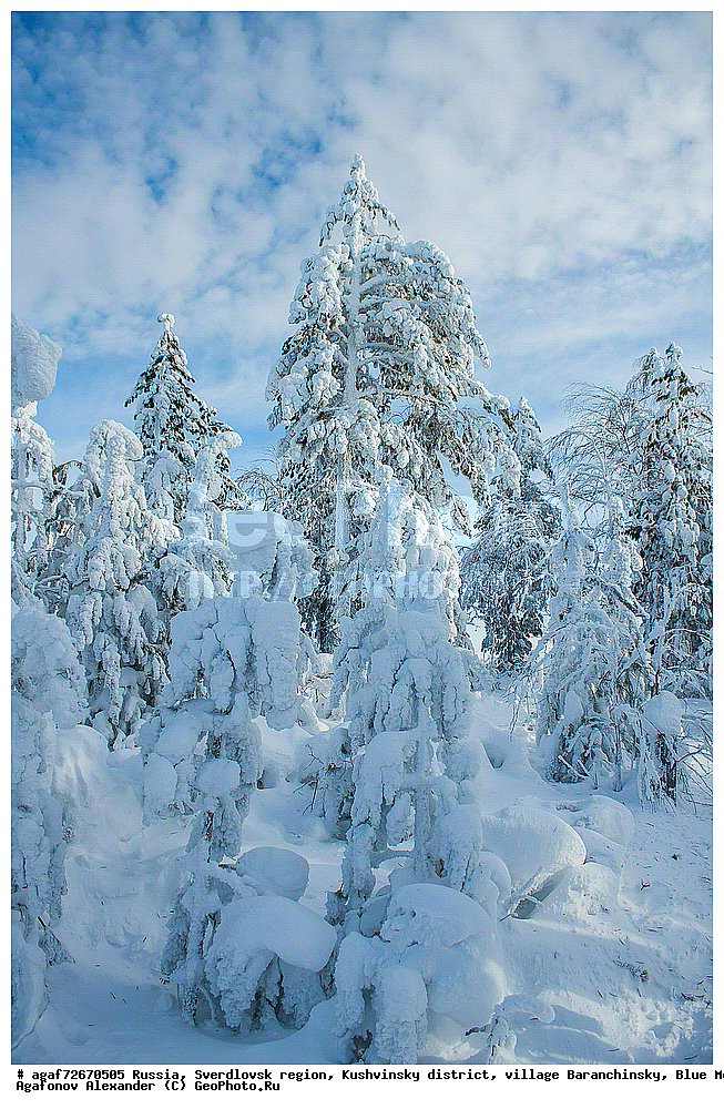 ������, ������������ �������, ���������� �����, ������ ������������, ���� �����, ����, ����, ���������, ����, ����� ����, ������� � �����, ����, ����, ���������, ����, ����� ����, ������� � �����