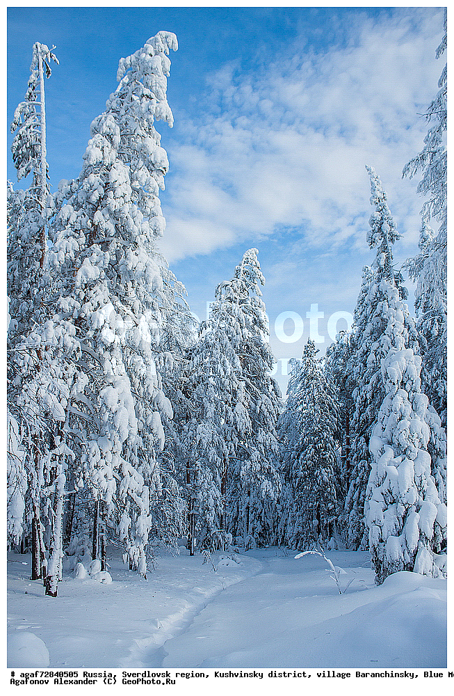 ������, ������������ �������, ���������� �����, ������ ������������, ���� �����, ����, ����, ���������, ����, ����� ����, ������� � �����, ����, ����, ���������, ����, ����� ����, ������� � �����