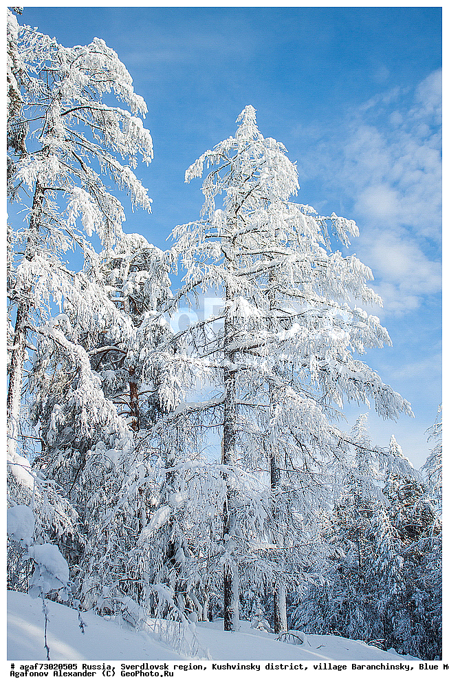 ������, ������������ �������, ���������� �����, ������ ������������, ���� �����, ����, ����, ���������, ����, ����� ����, ������� � �����, ����, ����, ���������, ����, ����� ����, ������� � �����