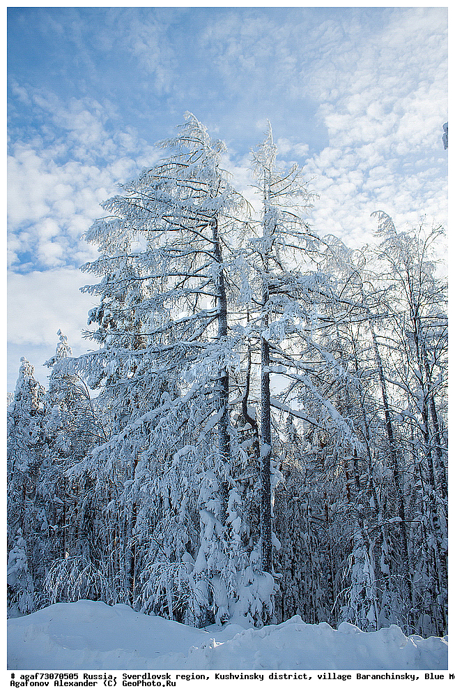 ������, ������������ �������, ���������� �����, ������ ������������, ���� �����, ����, ����, ���������, ����, ����� ����, ������� � �����, ����, ����, ���������, ����, ����� ����, ������� � �����