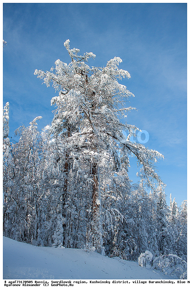 ������, ������������ �������, ���������� �����, ������ ������������, ���� �����, ����, ����, ���������, ����, ����� ����, ������� � �����, ����, ����, ���������, ����, ����� ����, ������� � �����