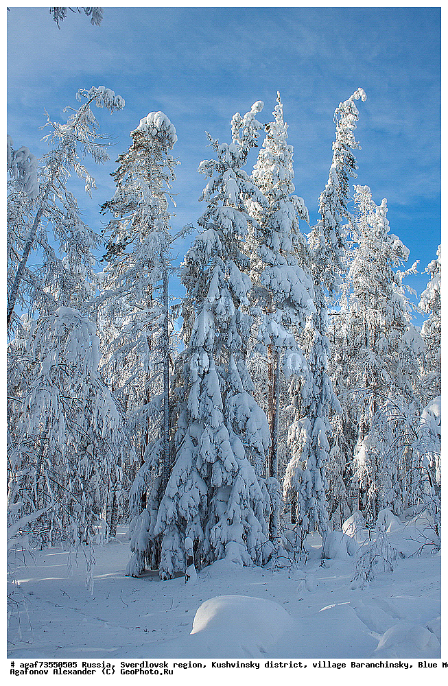 ������, ������������ �������, ���������� �����, ������ ������������, ���� �����, ����, ����, ���������, ����, ����� ����, ������� � �����, ����, ����, ���������, ����, ����� ����, ������� � �����