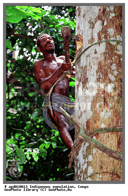 ������, ��������� �����, ���������� �����, �������, �������������� ������, �������������� ���, �������, ������ ������ ���� � ��������, �������� ���������, ����, ����� ����������, ������, ����� ��������� ���� �� �������, ����������� ���, ���������� ������