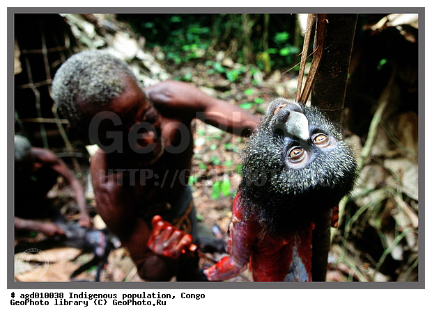 ������, ��������� �����, ���������� �����, �������, �������������� ������, �������������� ���, ��������� ����� �����, ���� ����, �������, ������ ������ ���� � ��������, �������� ���������, ����, ��������� �������� ��������� ����, ����� ����������, ����������� �������, ����������� �������, ������, �������, ����� ��������� ���� �� �������, ����������� ���, ���������� ������