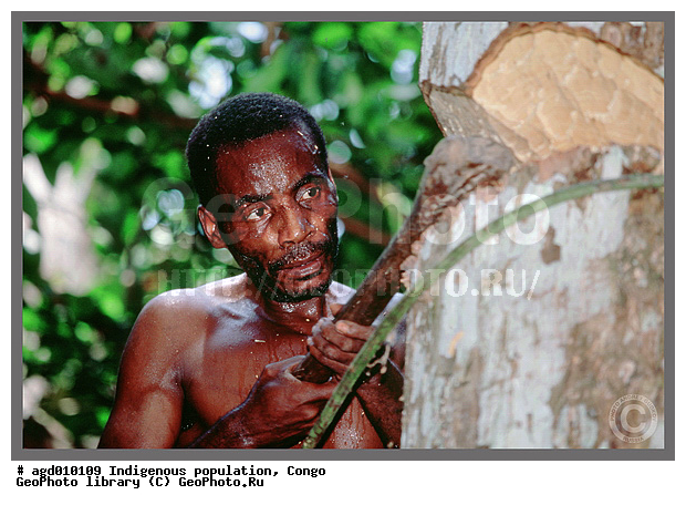 ������, ��������� �����, ���������� �����, �������, �������������� ������, �������������� ���, ��������� ����� �����, ��� ������, ���� ����, �������, ������ ������ ���� � ��������, ���� �����������, �������� ���������, ����, ��������� �������� ��������� ����, ����� ����������, ����������� �������, ����������� �������, ������, �������, ����� ����, ����� ��������� ���� �� �������, ����������� ���, ���������� ������