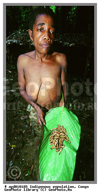 ������, ��������� �����, ���������� �����, �������, �������������� ������, �������������� ���, ��������� ����� �����, ���� ����, �������, ���� �����������, �������� ���������, ����, ��������� �������� ��������� ����, ����� ����������, ����������� �������, ����������� �������, ������, �������, ����� ��������� ���� �� �������, ����������� ���, ���������� ������