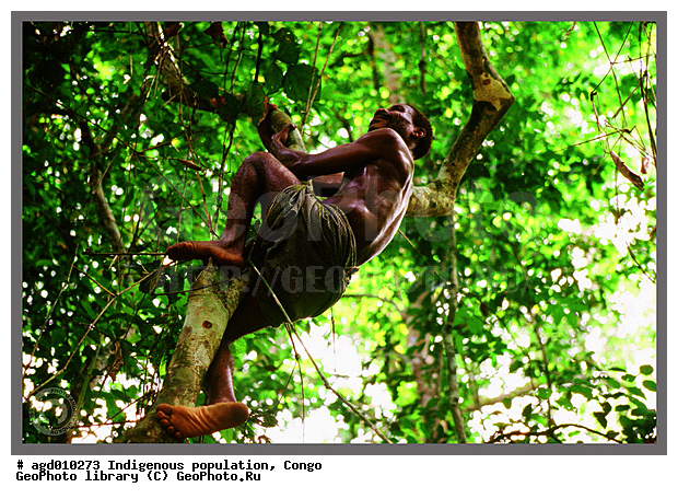 ������, ��������� �����, ���������� �����, �������, �������������� ������, �������������� ���, ��������� ����� �����, ���� ����, �������, ���� �����������, �������� ���������, ����, ��������� �������� ��������� ����, ����� ����������, ����������� �������, ����������� �������, ������, �������, ����� ��������� ���� �� �������, ����������� ���, ���������� ������