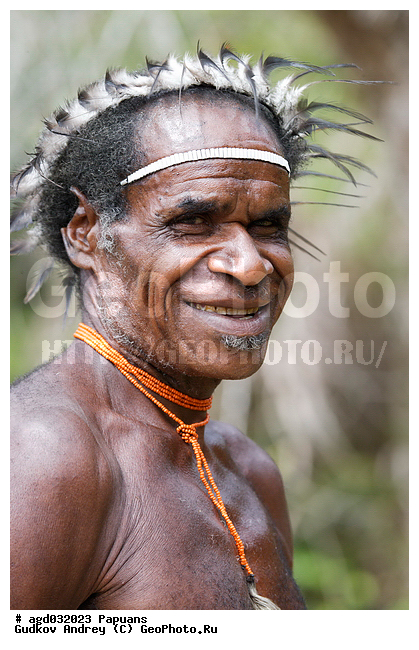 ���������, ����� ������, ����� ������ ����������� ���, �������, �������������� ���, ��������� ����� �����, �������, ���� �����������, �������� ���, �������� ���������, ����, ����� ����������, �������, ����������� �������, �������, ���������� ������