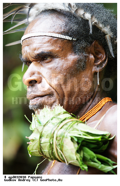 ���������, ����� ������, ����� ������ ����������� ���, �������, �������������� ���, ��������� ����� �����, �������, ���� �����������, �������� ���, �������� ���������, ����, ����� ����������, �������, ����������� �������, �������, ���������� ������