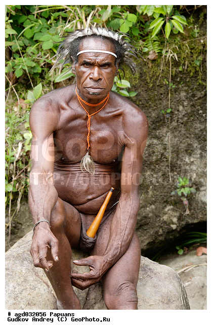 ���������, ����� ������, ����� ������ ����������� ���, �������, �������������� ���, ��������� ����� �����, �������, ���� �����������, �������� ���, �������� ���������, ����, ����� ����������, �������, ����������� �������, �������, ���������� ������