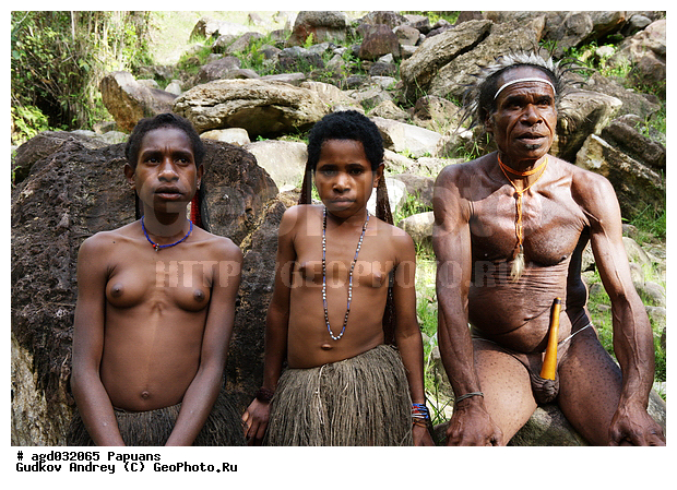 ���������, ����� ������, ����� ������ ����������� ���, �������, �������������� ���, ��������� ����� �����, �������, ���� �����������, �������� ���, �������� ���������, ����, ����� ����������, �������, ����������� �������, �������, ���������� ������