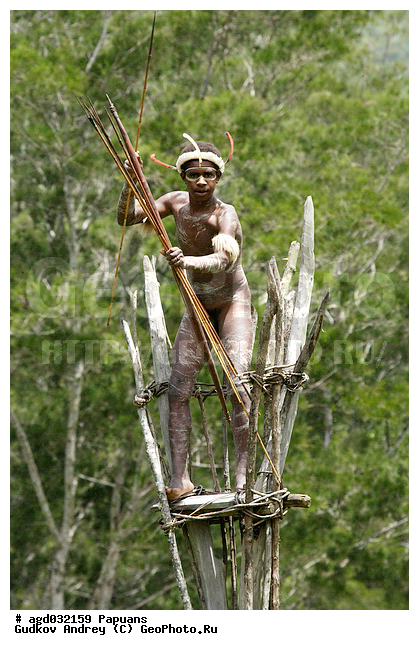 ���������, ����� ������, ����� ������ ����������� ���, �������, �������������� ���, ��������� ����� �����, �������, ���� �����������, �������� ���, �������� ���������, ����, ����� ����������, �������, ����������� �������, �������, ���������� ������