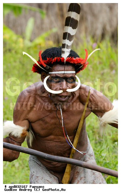 ���������, ����� ������, ����� ������ ����������� ���, �������, �������������� ���, ��������� ����� �����, �������, ���� �����������, �������� ���, �������� ���������, ����, ����� ����������, �������, ����������� �������, �������, ���������� ������