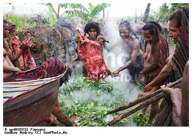 ���������, ����� ������, ����� ������ ����������� ���, �������, �������������� ���, ��������� ����� �����, �������, ���� �����������, �������� ����, �������� ���, �������� ���������, ����, ����� ����������, �������, ����������� �������, �������, ������������� ����, ���������� ������