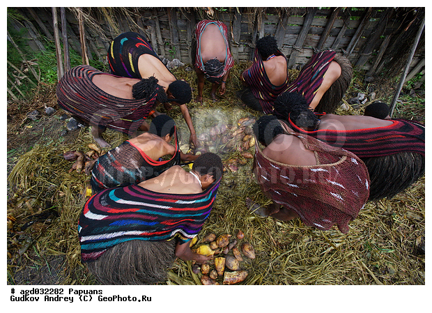 ���������, ����� ������, �������, �������������� ���, ��������� ����� �����, �������, ���� �����������, �������� ���, �������� ���������, ����, ����� ����������, �������, ����������� �������, �������, ����������� ���, ���������� ������