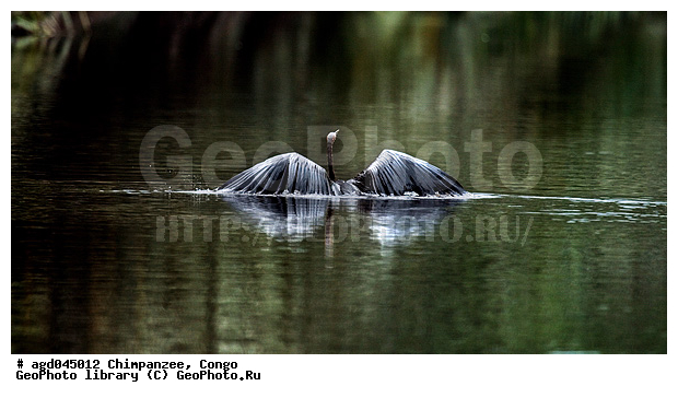 ������, �����, ����� ����, �����, ���������, �������, �����, ����� ������, ����