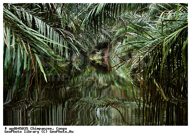 ������, �����, ������, �������, ��������� �������, ������������ ���� ��������, ���������, ��������� � ����, �������, ������� ����, ����������� ��������������, ����������� ���, �����