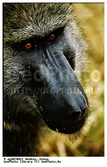 ������, �����, ����� � �����, �����������, ������������ ���� ������, ��������, �������� ��������, �������, ������, ������ �������� � ������������ ����� ��������, ����������