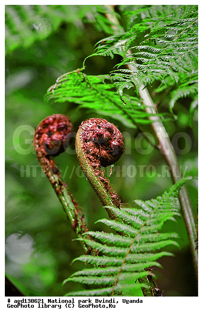 ������, ������� �������������� ����, ������� ����������� �����, �������� ����, ������ �����, ������ ����� �������, ���, ��������������, ������������ ���� ������, ����������, ������������������, ��������, ��������, ���������� ����, ���������� ����, �������, ����������� ���� ������, ����������� �����, ����������� ���, �����, ������ ������ ������, ������� ����