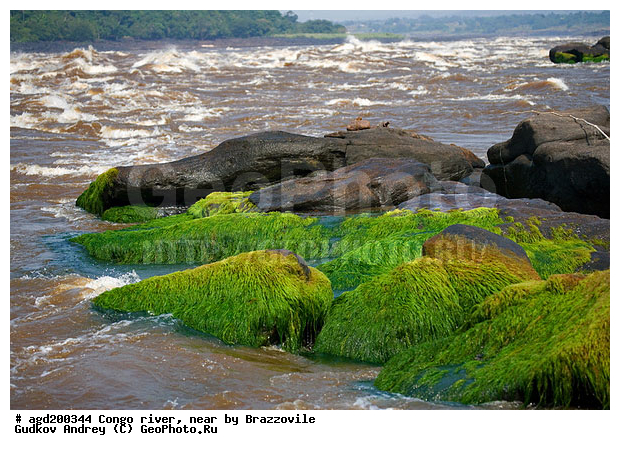 ����������, �����, �����, ����, ������, �����, ���������, �����, �����, �������, �����, ������, ������, ����, �������, �����