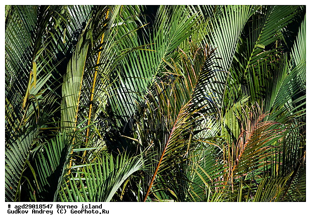 ������, �������, ���������, ����, �����, ����, �������, ����������� ���