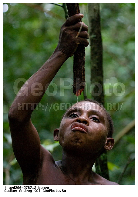 ������, ������ �����, �����, ������������ ���� ������ �����, ������ �����, ������ �����, ������������ ���� ������ �����