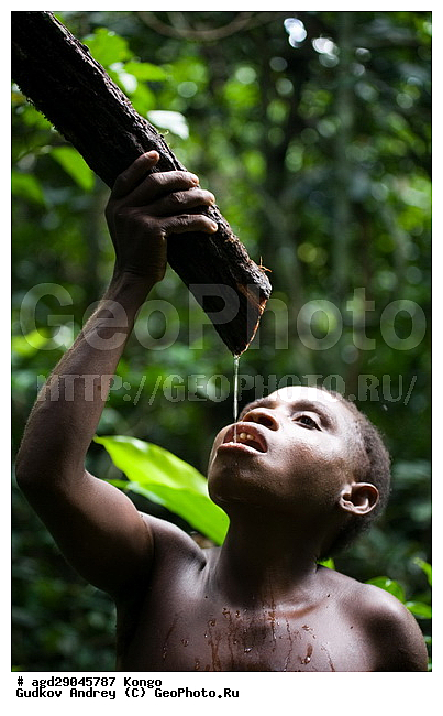 ������, ������ �����, �����, ������������ ���� ������ �����, ������ �����, ������ �����, ������������ ���� ������ �����