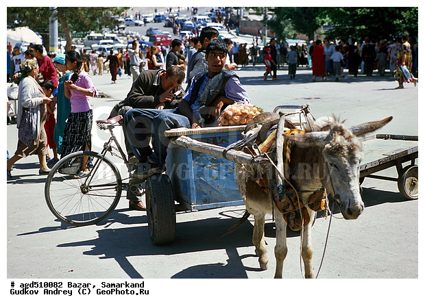 ����������� ����������, ������� �������� ����, ��������� �����, ������� ���������, �����, ��������� ��������, ������, �������� �������, ����������� ����������, ������� ��������, ��������, ��� �������, ���������, ������� ����, ��������, ���� � ���������, ����������, ����������� ����, �������� ����, ���� ���������, �����, ��������� �������, ���������, ��������� �������, �������� �������� �������, ������� �������, ������ ����������, ������ ����������, ��������, �������� ����������, �������� �������� �������, ����� � ���������, ��������� �������, ��������� ����������, ���������� �����, �����������, ���� � ������� ����, ������