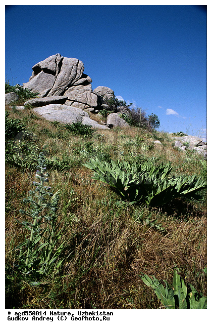 ����������, ������, �������, �������