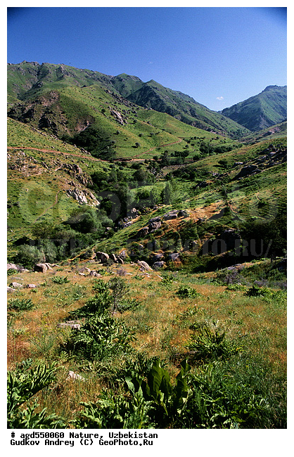 ����������, ������, �������, �������