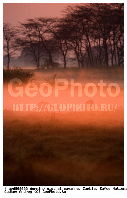 ������, �����, �����, ������������ ����, �������, �������, �������, ������, �����