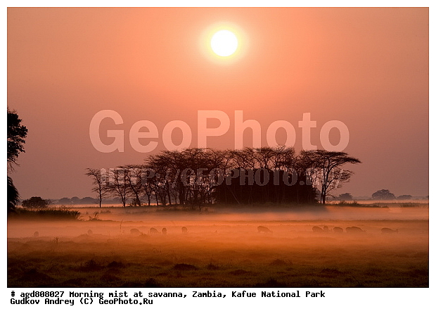 ������, �����, �����, ������������ ����, �������, �������, �������, ������, �����