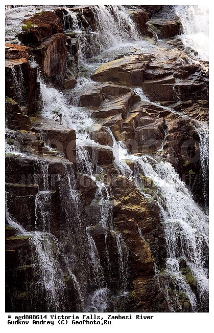 "�������, ������, ��������, ������� "��������", �������, ������, ��������, ������, �������, �������� ����, ��� ������, ������������ �����. ", ��������� �������, ����, ���� ������