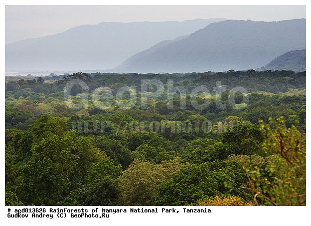 ��������, ����������� ���� ������������� ����� �������, ����������� ����