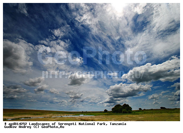 ��������� ������������� ����� ���������, ��������